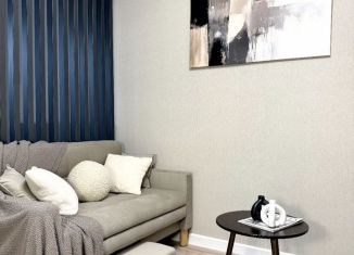 Продается 1-комнатная квартира, 29.3 м2, Санкт-Петербург, улица Турку, 24к1