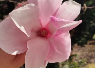 Продаю 2-ком. квартиру, 58 м2, Краснодар, Станкостроительная улица, 5, Западный округ