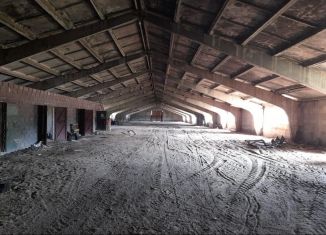 Продаю помещение свободного назначения, 2850 м2, Барыш, улица Льва Толстого, 55