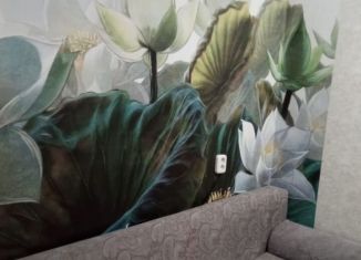 Сдам квартиру студию, 18 м2, Сочи, улица Голубые Дали, 68, микрорайон Голубые Дали