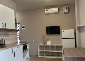 Сдам в аренду однокомнатную квартиру, 30 м2, Сочи, садоводческое товарищество Лысая Гора, 422, микрорайон Светлана