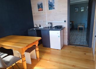 Сдается в аренду дом, 60 м2, поселок Аршан, улица Константина Габанова, 9