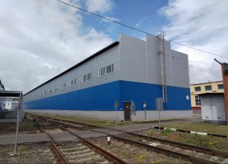 Сдаю помещение свободного назначения, 1500 м2, посёлок городского типа Томилино, улица Гоголя, 39А