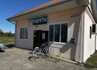 Помещение свободного назначения на продажу, 103 м2, хутор Семисводный, Торговая улица, 14