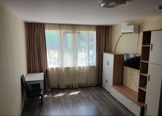 Сдам в аренду 1-ком. квартиру, 42 м2, село Раздольное, Тепличная улица, 63к2, ЖК Министерские Озёра