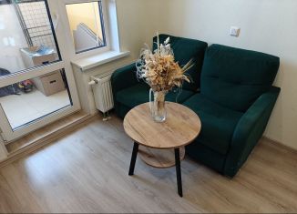 Продается однокомнатная квартира, 32 м2, городской посёлок Новоселье, Центральная улица, 10к2, ЖК Эпсилон