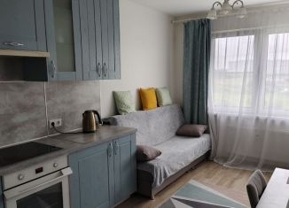 1-комнатная квартира на продажу, 36.3 м2, Санкт-Петербург, ЖК Ручьи, Северный проспект, 127к1