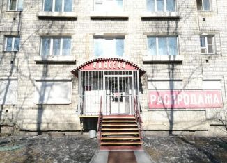 Продажа помещения свободного назначения, 100 м2, Хабаровский край, Центральная улица, 43