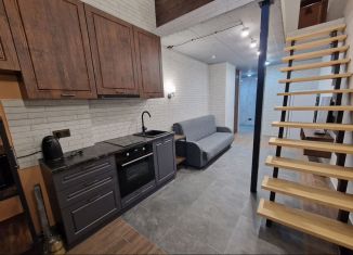 Сдаю в аренду однокомнатную квартиру, 55 м2, Республика Башкортостан, Коммунистическая улица, 98/1