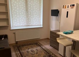 Продам квартиру студию, 21.6 м2, Кудрово, Пражская улица, 11, ЖК Вернисаж