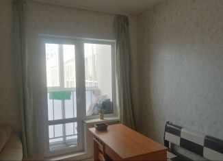 Сдается 1-комнатная квартира, 27 м2, Пермь, улица Красные Казармы, 67, ЖК Арсенал