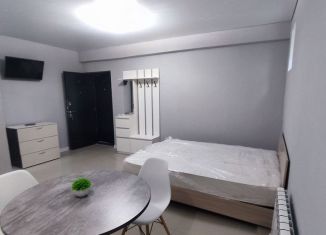 Продам квартиру студию, 27 м2, село Витязево, улица Гагарина, 15/3