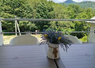 Сдаю дом, 100 м2, Сочи, садоводческое товарищество Клён, 29