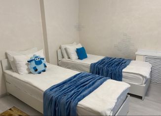 Квартира в аренду студия, 24 м2, Республика Башкортостан, Театральная улица, 5