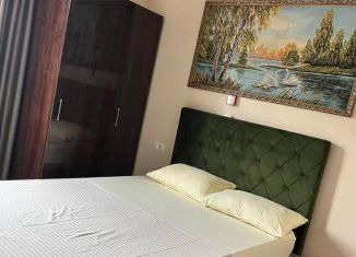 Сдача в аренду дома, 80 м2, Сочи, улица Гастелло, 27Б, микрорайон Голубые Дали