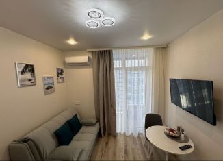 Квартира в аренду студия, 18 м2, Сочи, Ясногорская улица, 16/2к5, микрорайон Бытха