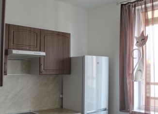 Сдается однокомнатная квартира, 31.2 м2, Мурино, Графская улица, 12к1, ЖК Гринландия-2