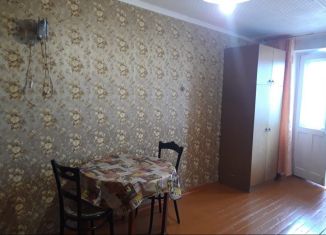 Сдается в аренду однокомнатная квартира, 30 м2, Минусинск, Ботаническая улица, 31