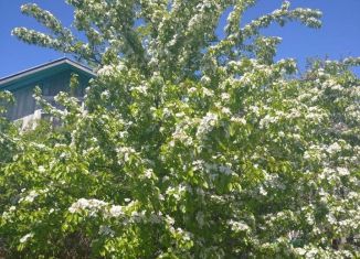 Продам дачу, 80 м2, деревня Чандрово