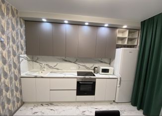 Сдается в аренду 2-комнатная квартира, 64 м2, Краснодар, улица Евгении Жигуленко, 25к3, ЖК Выше