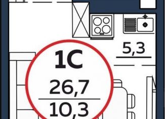 Продается 1-комнатная квартира, 26.7 м2, Обь, Октябрьская улица, 3