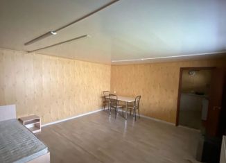 Дом в аренду, 35 м2, село Лозовое, Ялтинская улица, 41