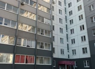 Сдается 2-ком. квартира, 30 м2, Челябинск, 2-я Эльтонская улица, 44, ЖК Заря