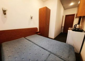 Сдам квартиру студию, 14 м2, Санкт-Петербург, улица Егорова, метро Фрунзенская