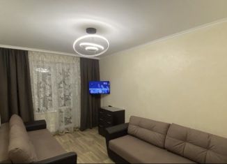 Сдается в аренду 1-комнатная квартира, 32 м2, Челябинская область, Школьный переулок, 1А