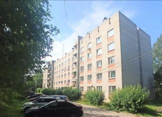 Продажа однокомнатной квартиры, 49.5 м2, деревня Разметелево, улица ПТУ-56, 3