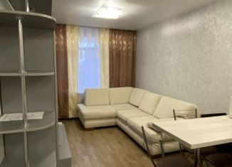Квартира в аренду студия, 27 м2, посёлок Парголово, улица Архитектора Белова, 6к1, ЖК Парнас