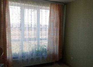 Продажа 1-ком. квартиры, 34 м2, село Кушнаренково, Линейная улица, 39