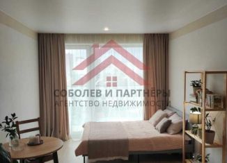Продается квартира студия, 27 м2, Екатеринбург, улица Чкалова, 18, улица Чкалова