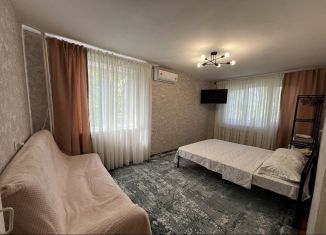 Сдача в аренду 1-ком. квартиры, 31 м2, город Кизилюрт, улица Гамзата Цадаса