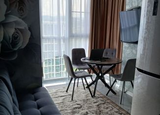 Сдам в аренду 1-ком. квартиру, 30 м2, Сочи, Ясногорская улица, 16/6к4, микрорайон Бытха