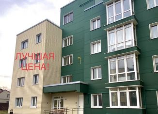 1-комнатная квартира на продажу, 48.1 м2, деревня Болтино, улица Баздырева, 3