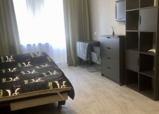 Сдам в аренду 1-ком. квартиру, 35 м2, Казань, улица Чишмяле, 15