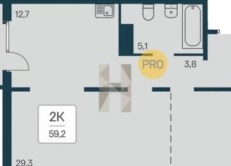 Продается 2-комнатная квартира, 59.2 м2, Новосибирская область