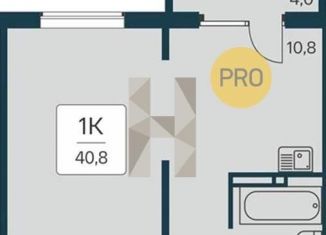 Продаю 1-комнатную квартиру, 40.8 м2, Новосибирск