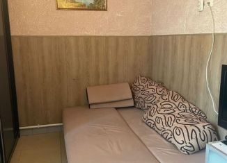 Квартира в аренду студия, 18 м2, деревня Ащерино, деревня Ащерино, 62