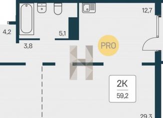 Продажа 2-комнатной квартиры, 59.2 м2, Новосибирская область