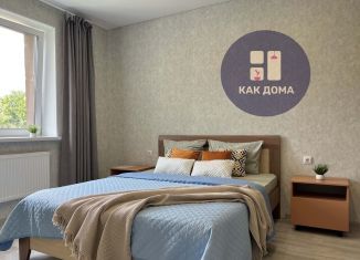 Сдается 1-ком. квартира, 35 м2, Калуга, улица Пухова, 56, Московский округ