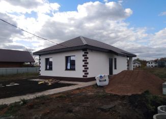 Продается дом, 67 м2, деревня Старые Киешки, Рощинская улица, 30