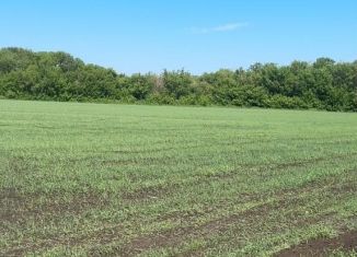 Продам земельный участок, 4323 сот., село Сингели