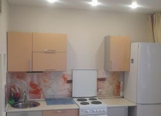 Сдаю в аренду квартиру студию, 24 м2, Миасс, бульвар Карпова, 7