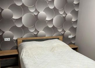 Аренда 1-ком. квартиры, 27 м2, Кисловодск, проспект Дзержинского, 2