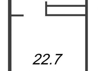 Квартира на продажу студия, 22.7 м2, Санкт-Петербург, проспект Большевиков, уч3, ЖК Про.Молодость