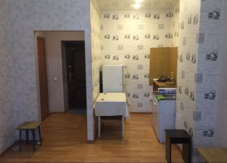 Продается квартира студия, 23 м2, рабочий поселок Маркова, микрорайон Берёзовый, 118