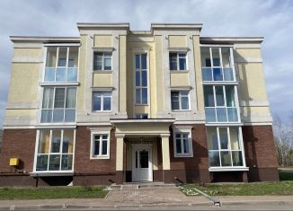 Продается квартира студия, 17.6 м2, деревня Ивановское, улица Николинские Ключи, 36