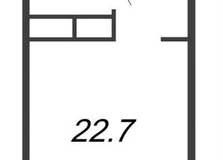 Продаю квартиру студию, 22.7 м2, Санкт-Петербург, метро Улица Дыбенко, проспект Большевиков, уч3